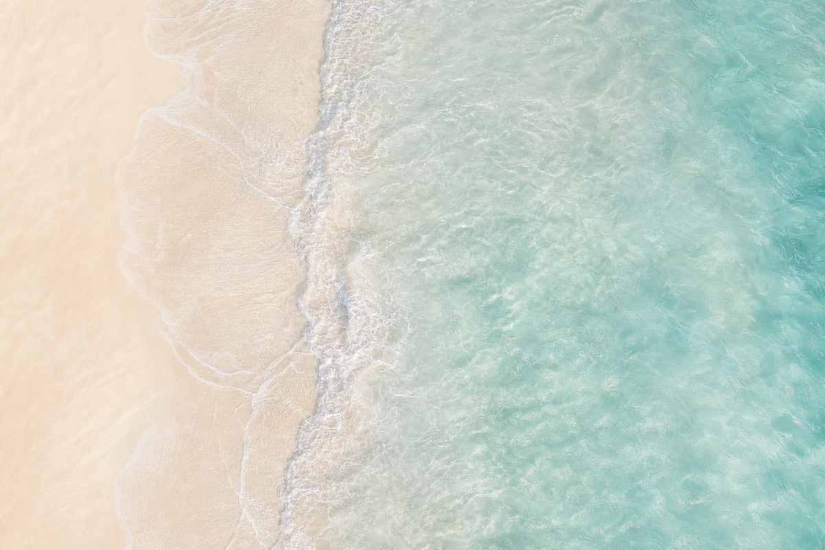 banner sea