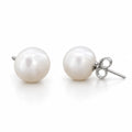 Liv button pearl stud earrings, white freshwater pearls on sterling silver posts